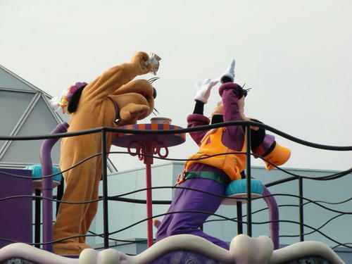 わんこ茶(犬だけに！)