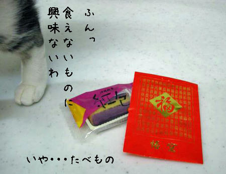 87a0d93c.jpg