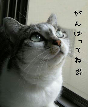 7155895c.jpg