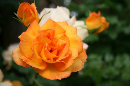 83a5757c.jpg