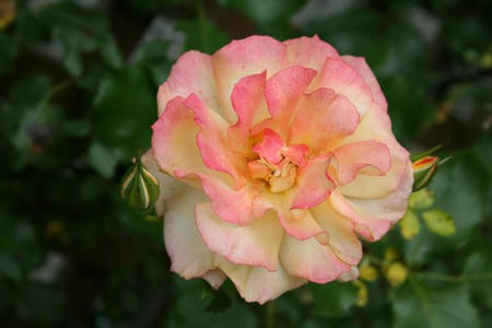 477cc8a3.jpg