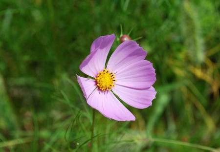 7f8b2f95.jpg