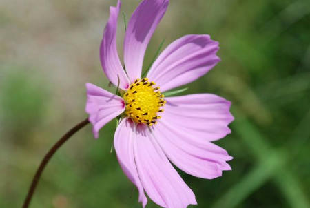 7eae2f55.jpg