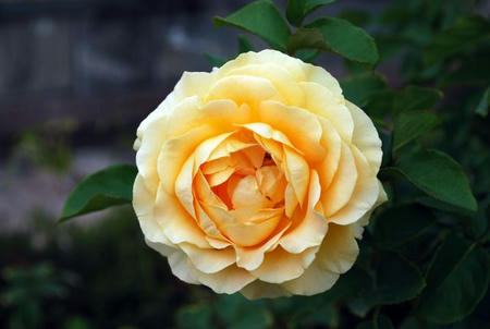 6f477e7d.jpg