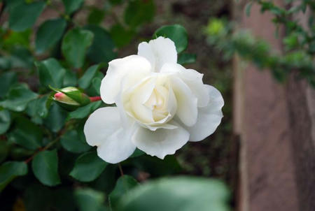 74f7a91b.jpg