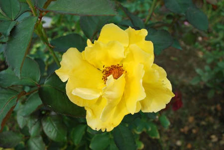 539031d7.jpg