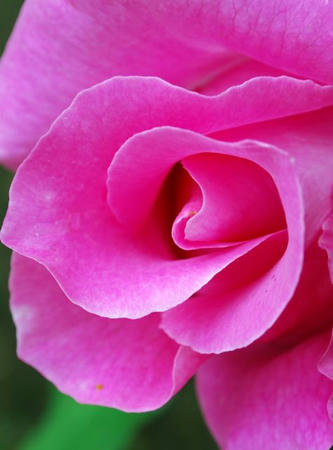 927f7862.jpg