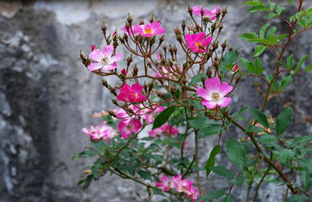d9710553.jpg