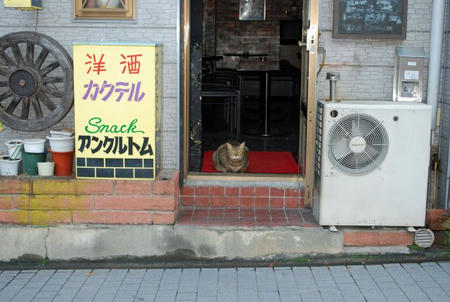 c1083b8e.jpg