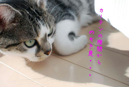 2b7c0890.jpg