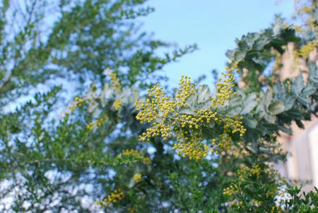 b88d58c6.jpg