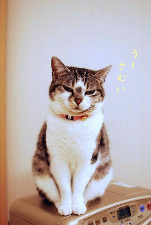 5cd4a3be.jpg
