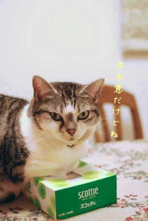 030380b2.jpg
