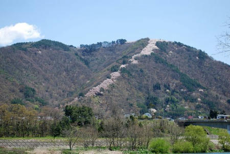18b3f902.jpg