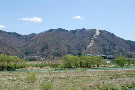 d3c72133.jpg