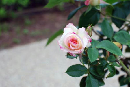 f9731357.jpg