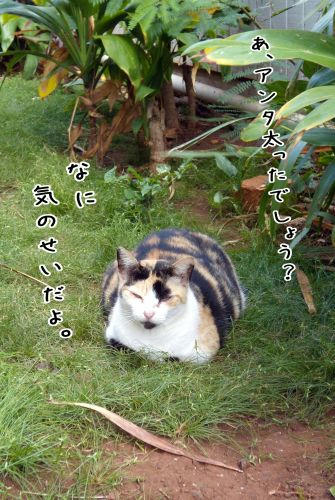07c50d8d.jpg