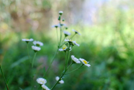 e848f3b3.jpg