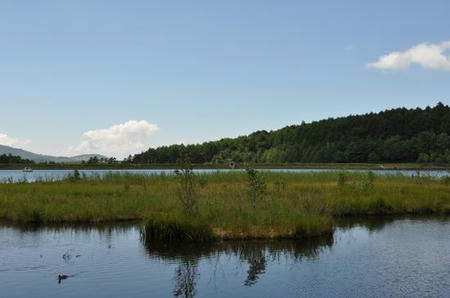 DSC_0172.JPG