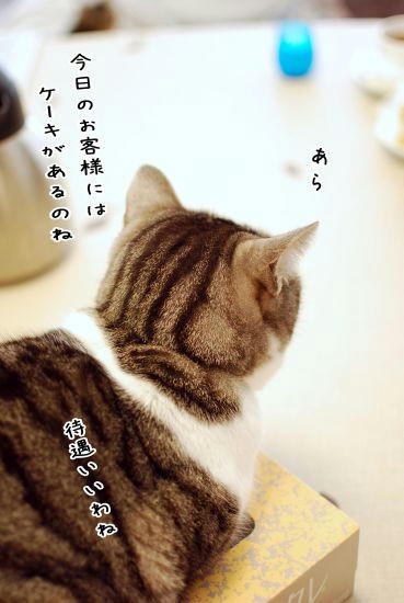 213a499c.jpg