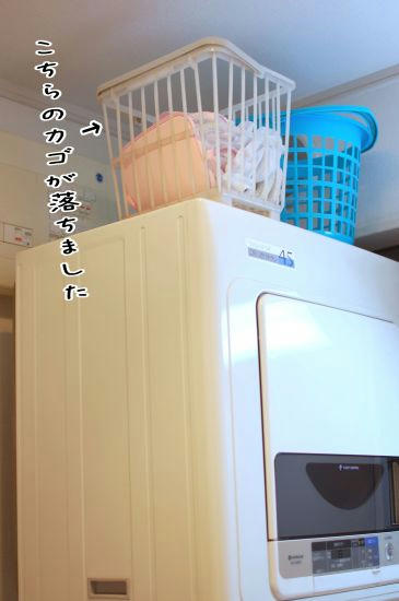 095fa502.jpg
