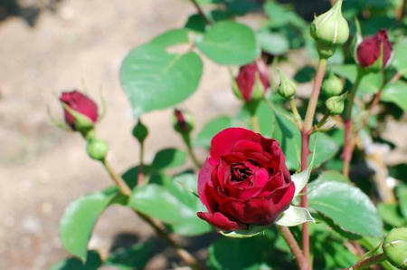 fbb76921.jpg