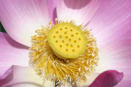 f15c895f.jpg