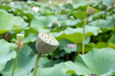 c80205e0.jpg