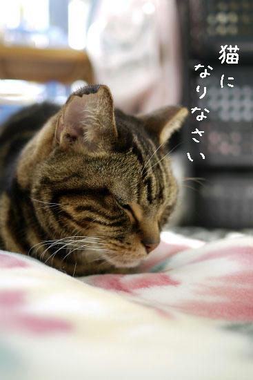 1bd5a4ca.jpg
