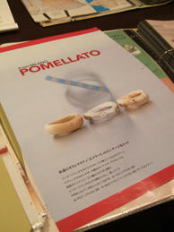 DSCF0427.JPG