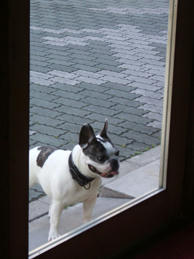 DSCF0433.JPG