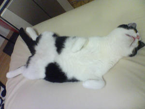 DSC00581.JPG