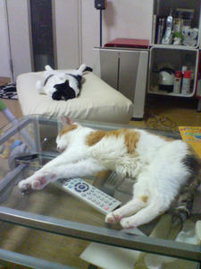 DSC00583.JPG