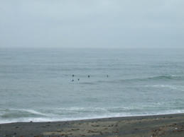 DSCF0503.JPG