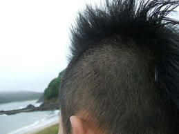 DSCF0507.JPG