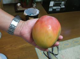 DSCF0495.JPG