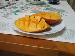 DSCF0496.JPG