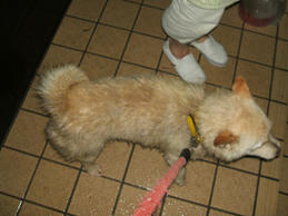 DSCF0511.JPG