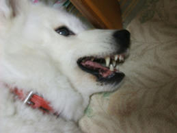 DSCF0517.JPG