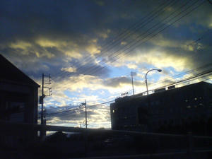 DSC00607.JPG