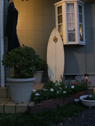 DSCF0529.JPG