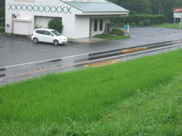DSCF0499.JPG