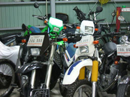 DSCF0502.JPG