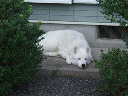 DSCF0520.JPG