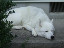 DSCF0521.JPG