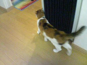DSC00615.JPG