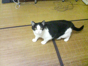 DSC00616.JPG