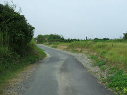 DSCF0565.JPG