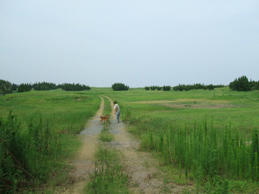 DSCF0566.JPG
