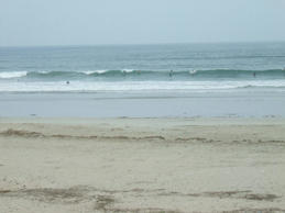 DSCF0567.JPG